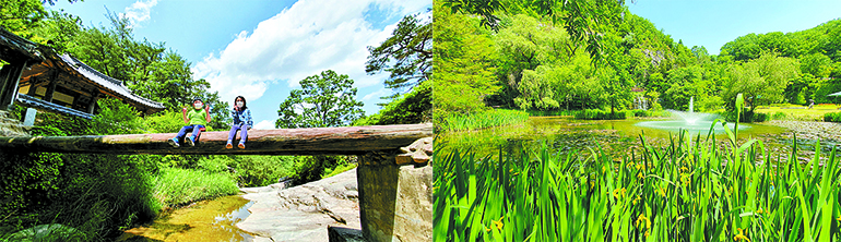 (좌측사진) 만휴정으로 들어가는 외나무다리에서 찍은 사진 (우측 사진) 낙강물길공원